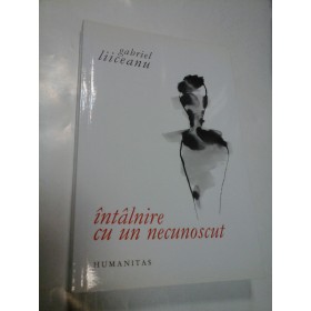 INTALNIRE CU UN NECUNOSCUT - GABRIEL LIICEANU